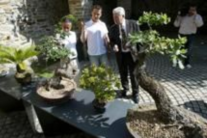 El director del museo, Jesús Courel, Rubén Ciézar y el concejal Manuel Rodríguez, ayer entre bonsáis