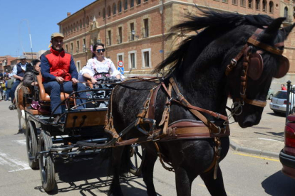 Un carro tirado por un espectacular caballo con el edificio del seminario al fondo. MEDINA