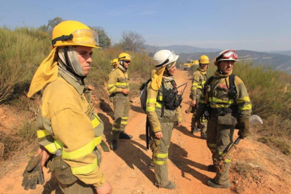 Brigadas antiicendios en la comarca del Bierzo