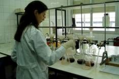 La mujeres ocupan pocos puestos de alta responsabilidad en la investigación científica