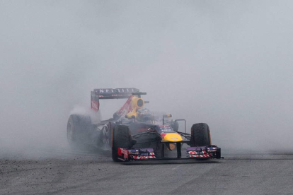 Vettel celebra en su monoplaza la victoria en el Gran Premio de Brasil de Fórmula 1.