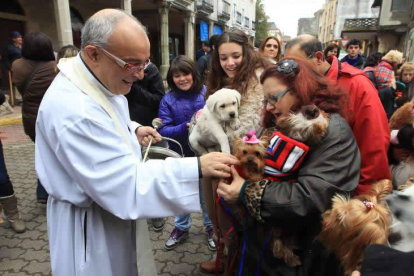 El párroco Jesús Álvarez bendijo a las mascotas en el centro de Cacabelos.
