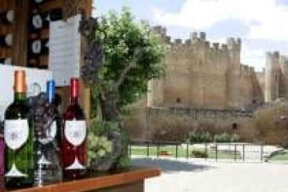 Los vinos Tierras de León siguen siendo objeto de trabajo de futuro