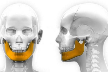 Imagen de la articulación de la mandíbula inferior que conecta con el cráneo.