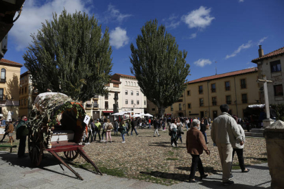 Gente en la Plaza del Grano de León durante la fiesta de San Froilán. FERNANDO OTERO
