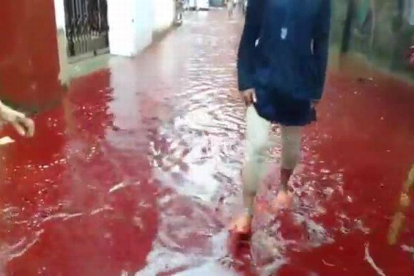 La sangre de los sacrificios de animales y la lluvia inundan las calles de Dacca (Bangladés).