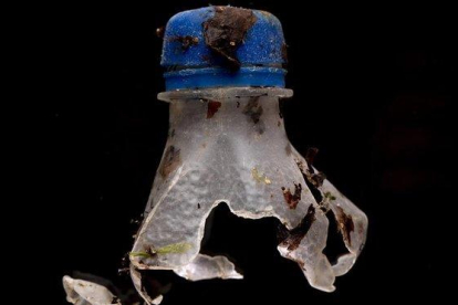 Botella de plástico en descomposición, fotografiada en el marco del proyecto de concienciación sobre microplásticos.