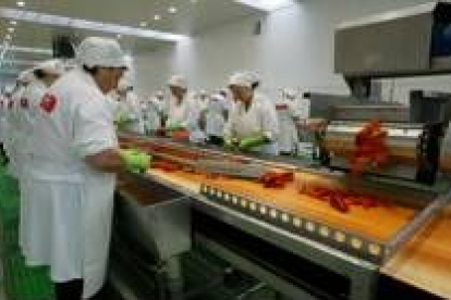 El año pasado, la marca de garantía controló 350.000 tarros de pimiento asado del Bierzo