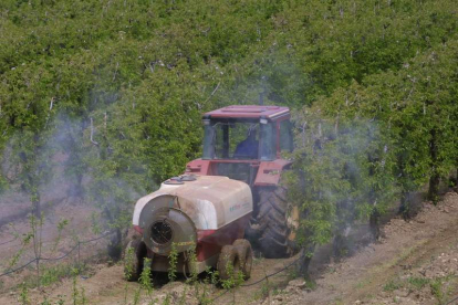 Entre los proyectos que esperan ser desarrollados se encuentran los de la fruticultura.