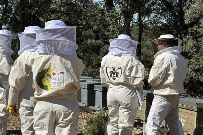 Colmenar de Guadalajara donde ya se monitoriza la población de abejas ibéricas. PROYECTO SMART BEES