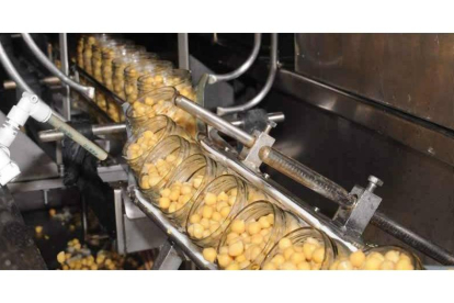 Las industrias de tratamiento y elaboración de legumbres tienen un lugar destacado entre las que más facturan en León.