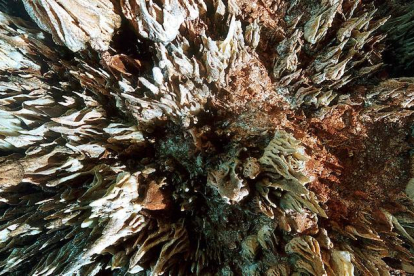 Formaciones calcáreas cuelgan del techo de la Cueva de Valporquero