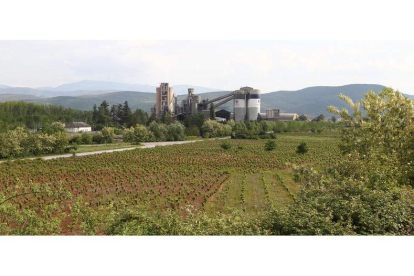La cementera de Cosmos en Toral de los Vados, rodeada de frutales y viñedos, no renuncia a usar biomasa como combustible para elaborar su producción.