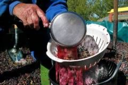 En la imagen, un hombre separa el mosto de la pulpa de la uva