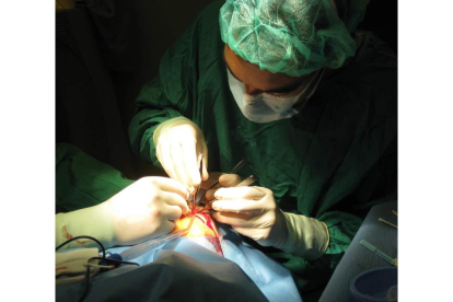 Operación de un párpado en los quirófanos de Oftalmología del Hospital de León.