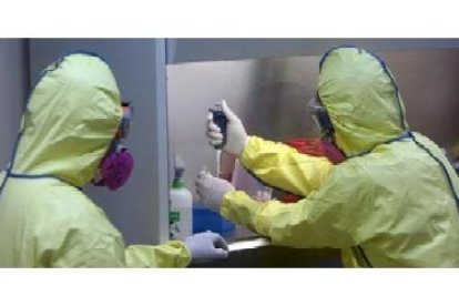 Dos científicos analizan el virus de la gripe A