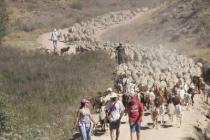 El rebaño cruzó la montaña leonesa antes de adentrarse en Palencia.