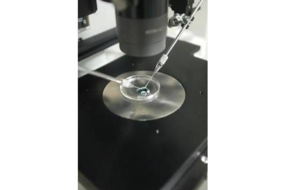 Imagen de un laboratorio de reproducción asistida