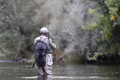Un pescador practica su pasión en uno de los ríos de la provincia leonesa. FERNANDO OTERO