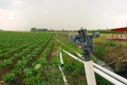 Una explotación agrícola de Toral de Fondo, donde ayer se había instalado el sistema de riego