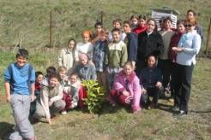 Una de las clases del colegio de Boñar tras plantar un nuevo árbol