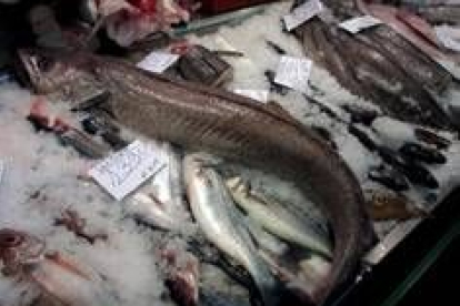 Los últimos estudios demuestran que aumenta la incidencia de anisakis en los pescados