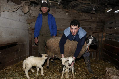 ‘Pepín’ Carrera y su nieto Luis Jorge, ayer con la oveja y los tres corderos de su última camada.