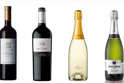 Selección de vinos de Miquel Sen.