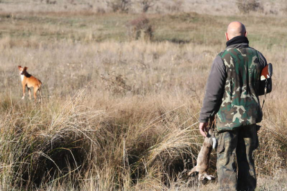 La temporada de caza menor transcurre en clave desigual en la provincia leonesa. RAMIRO