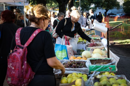 Una mujer compra frutas y verduras en una feria comunitaria para combatir la inflación.