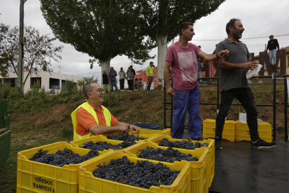 Las uvas fueron previamente vendimiadas. FERNANDO OTERO