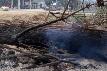 El incendio ha calcinado cerca de 30.800 hectáreas en un perímetro de 120 kilómetros. MARIAN MONTESINOS