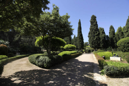 Lo más destacable de los jardines del Palacio de Marivent  es sin duda su valor botánico, cultural e histórico. J. GRAPELLI