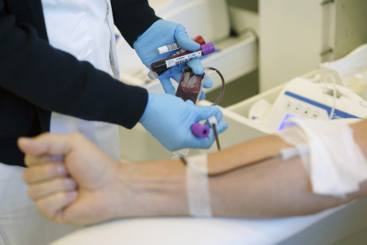 Extracción de sangre durante una campaña de captación de donantes. NACHO GALLEGO / EFE
