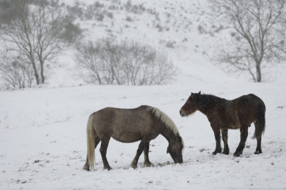 La nieve a cubierto este jueves todo el norte de León. FERNANDO OTERO