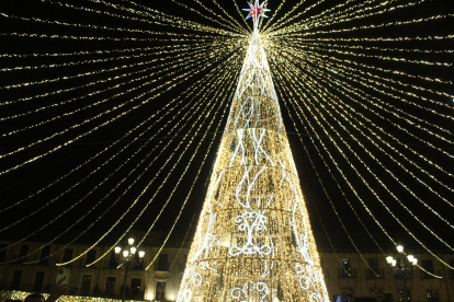 'Árbol de Navidad en la Plaza Mayor'. ISAAC LLAMAZARES DURÁN