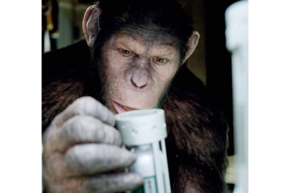 Un ejemplar de simio coge un objeto con la mano. DL