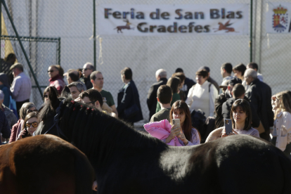 Feria de San Blas