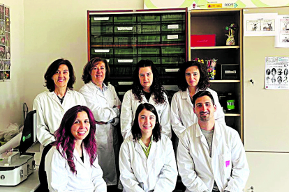 Parte de los investigadores que conforman el grupo de Ambiente Atmosférico de la Universidad de León.