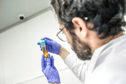 Un científico examina un extracto de marihuana en un invernadero de la compañía BOL Pharma en Lod, Israel, el 23 de enero de 2018.
