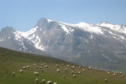Una ganadería de montaña de Picos de Europa.