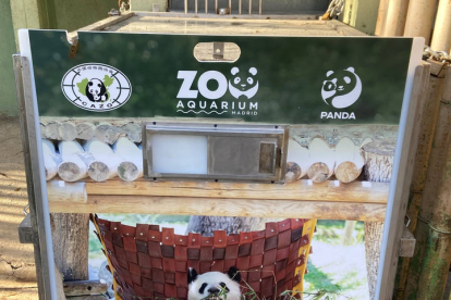 Una de las cajas en las que se transportará a la familia de osos panda de Zoo Aquarium de Madrid formada por la pareja Hua Zui Ba (20) y Bing Xing (23), los gemelos You You y Jiu Jiu (2) y su hermana mayor Chulina (7), emprenderán el viaje de regreso a la Base de Cría del Panda Gigante de Chengdu este jueves 29 de febrero.