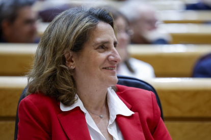 Imagen de archivo de la vicepresidenta tercera y ministra de Transición Ecológica y el Reto Demográfico, Teresa Ribera. EFE/ Mariscal