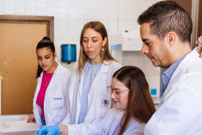 El equipo de investigadores de Málaga, en el laboratorio.