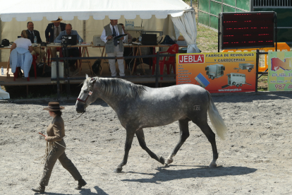 Las mejores fotos de la Feria del Caballo de Camponaraya.