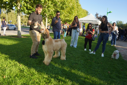 MásQPerros organiza un año más la gran fiesta de los perros, esta vez coincidiendo con la primavera.