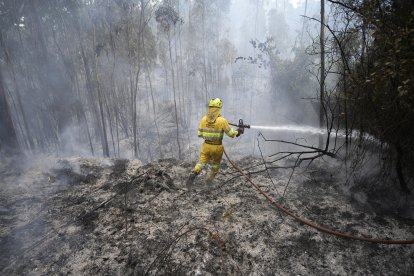 Bomberos forestales del Gobierno de Cantabria durante los trabajos de extinción de un incendio declarado en Hazas de Cesto. Archivo EFE/Pedro Puente Hoyos