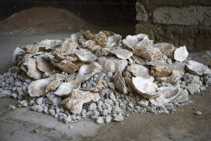Las excavaciones que se están realizando en el Parque Arqueológico de Pompeya (sur de Italia), la ciudad devastada por el Vesubio en el 79 a.C, han sacado a la luz un 