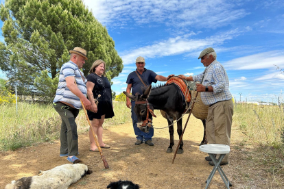 Una expedición de siete personas, más los perros y unos burros acompañan al rebaño en su andadura hasta los pastos de altura de León