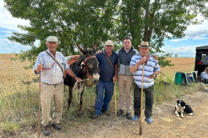 Una expedición de siete personas, más los perros y unos burros acompañan al rebaño en su andadura hasta los pastos de altura de León